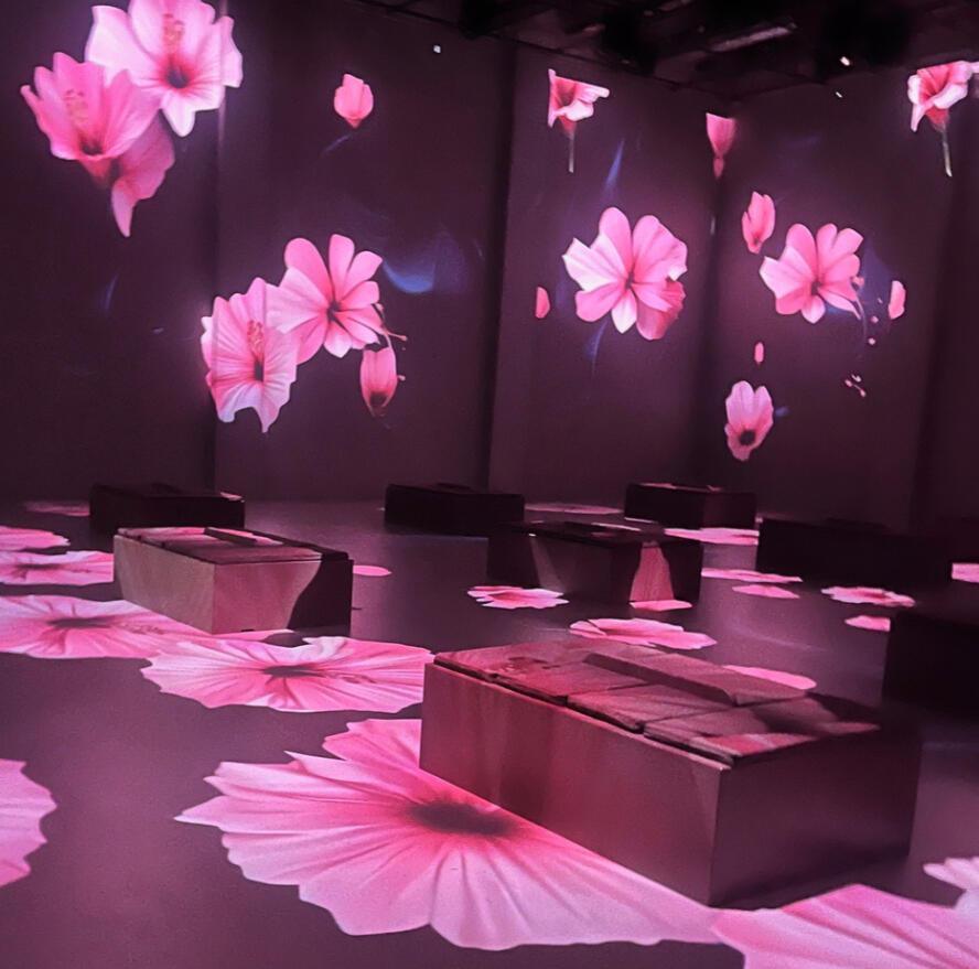 Immersive Rooms
